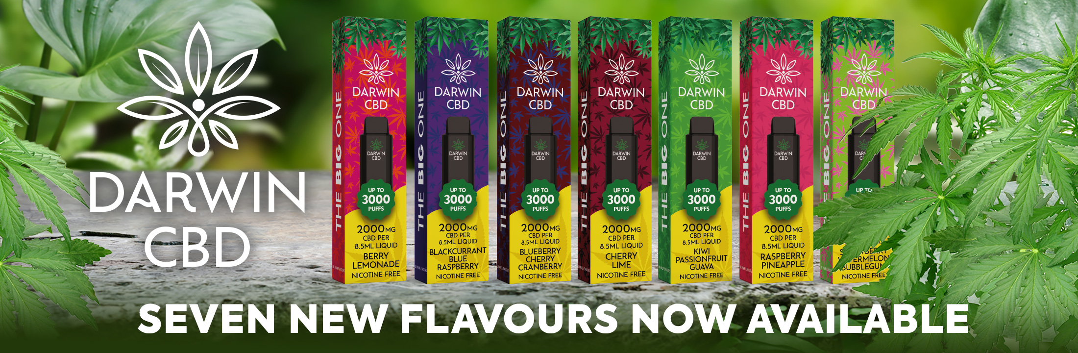 Darwin CBD CBD Disposables Isolate CBD Disposables 60ml 10ml